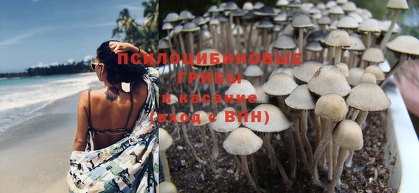 mdpv Балахна