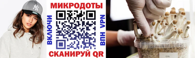 Псилоцибиновые грибы GOLDEN TEACHER сколько стоит Тюкалинск